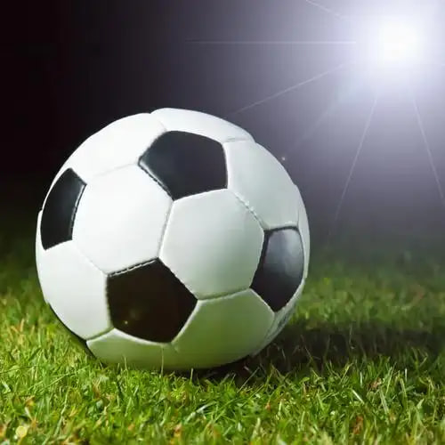 体育爱好者使用球探体育比分观看实时赛况